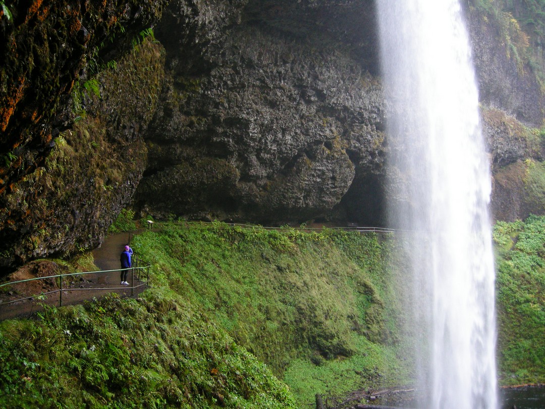 Silver Falls Half Marathon Preview